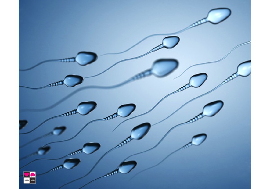 Il Mondo degli Spermatozoi: Curiosità, Salute e Intimità